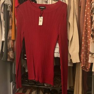 Express Red Fitted Top